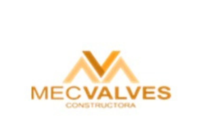Logo Mecvalves